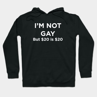 I'M NOT GAY but $20 is $20 T-Shirt Hoodie